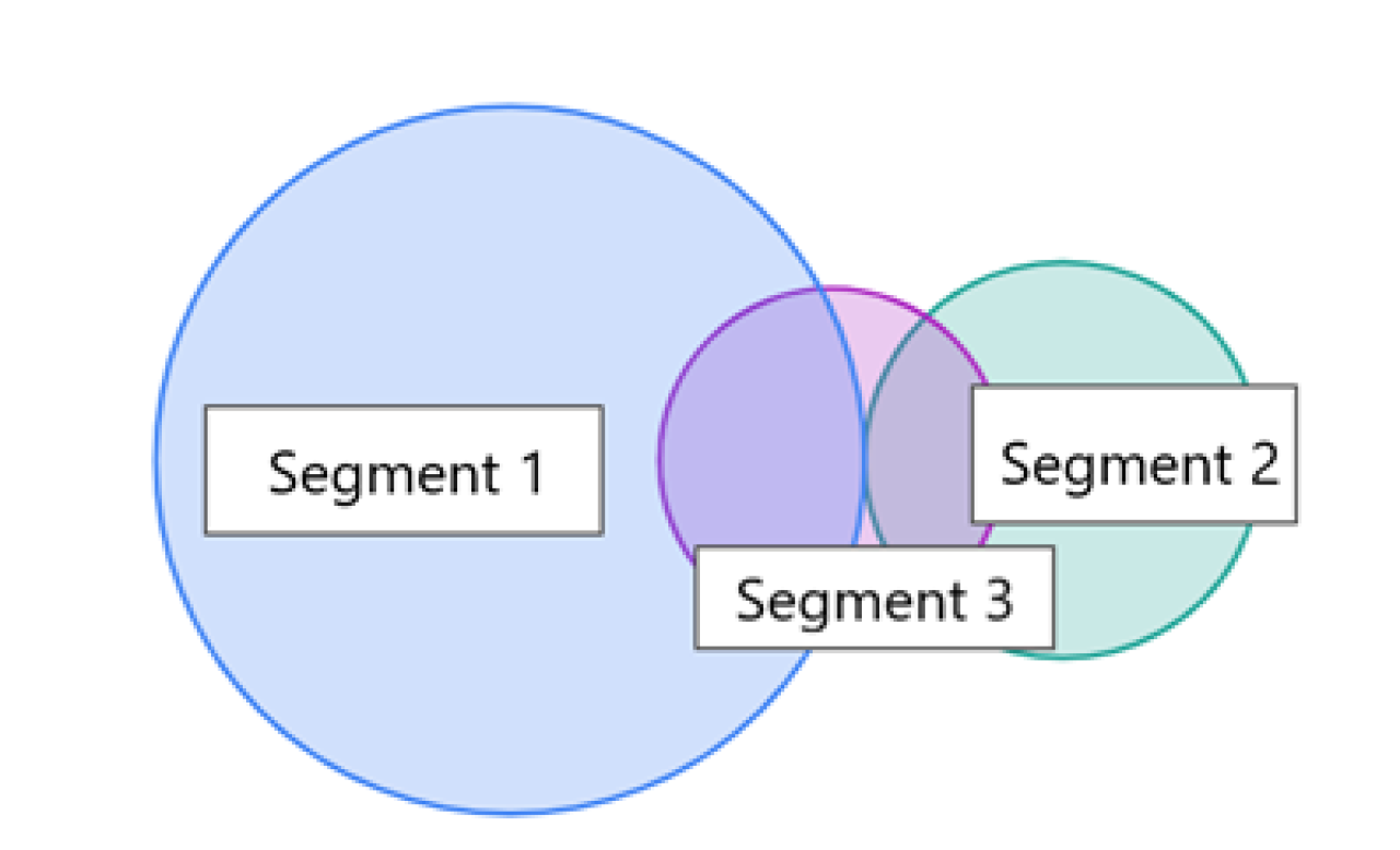 Venn Diagram showing three different segments and how they overlap