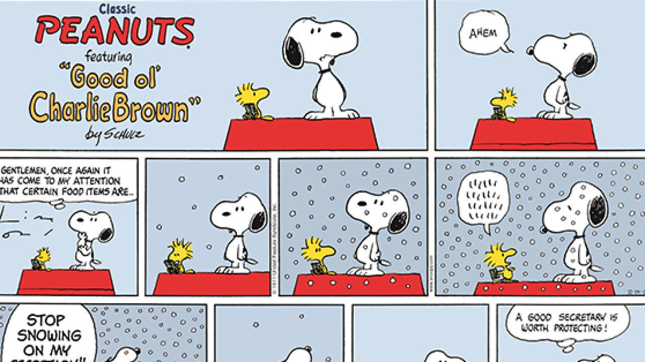 Image of a cartoon of Snoopy standing next to a table. Snoopy is a Beagle dog and a popular character in the Peanuts comic strip. He is wearing a World War I Flying Ace uniform and has a red scarf around his neck. The table has a bowl of food on it and a sign that says &quot;STOP SNOWING ON MY SECRETARY!!&quot;.