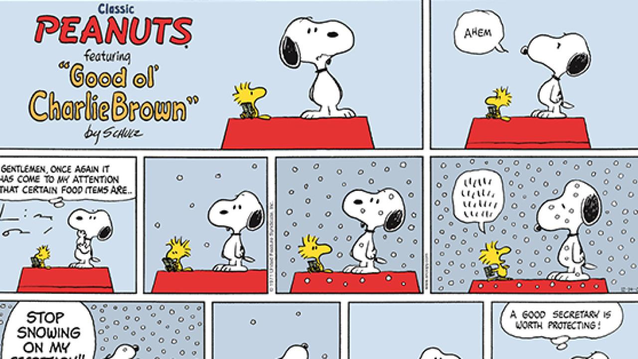 Image of a cartoon of Snoopy standing next to a table. Snoopy is a Beagle dog and a popular character in the Peanuts comic strip. He is wearing a World War I Flying Ace uniform and has a red scarf around his neck. The table has a bowl of food on it and a sign that says "STOP SNOWING ON MY SECRETARY!!".