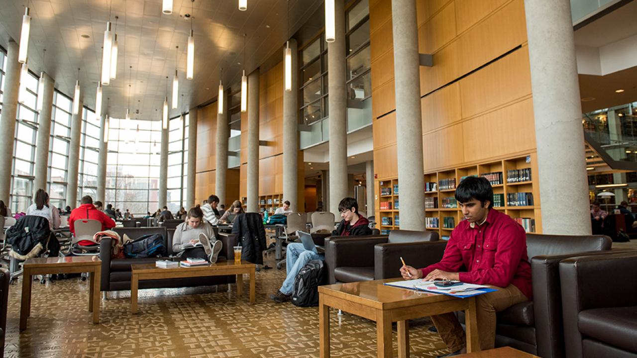 Students studying in Thompson Library