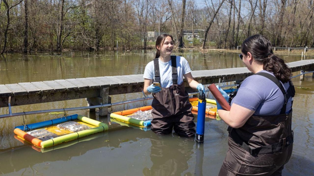 Mary Kate Rinderle and Meredith Laidly collect samples from wetlands.