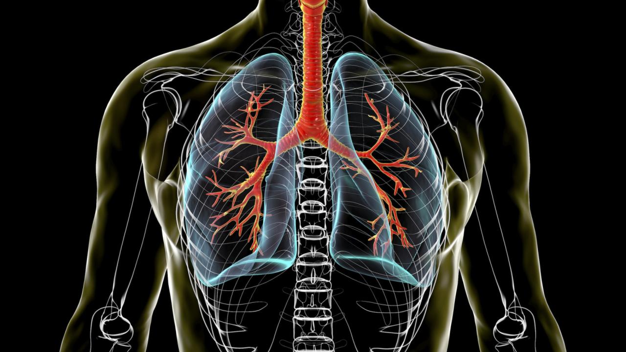 The ventilator-on-a chip measures real-time changes to cells that affect the integrity of the barrier between tiny air sacs and capillaries carrying blood.