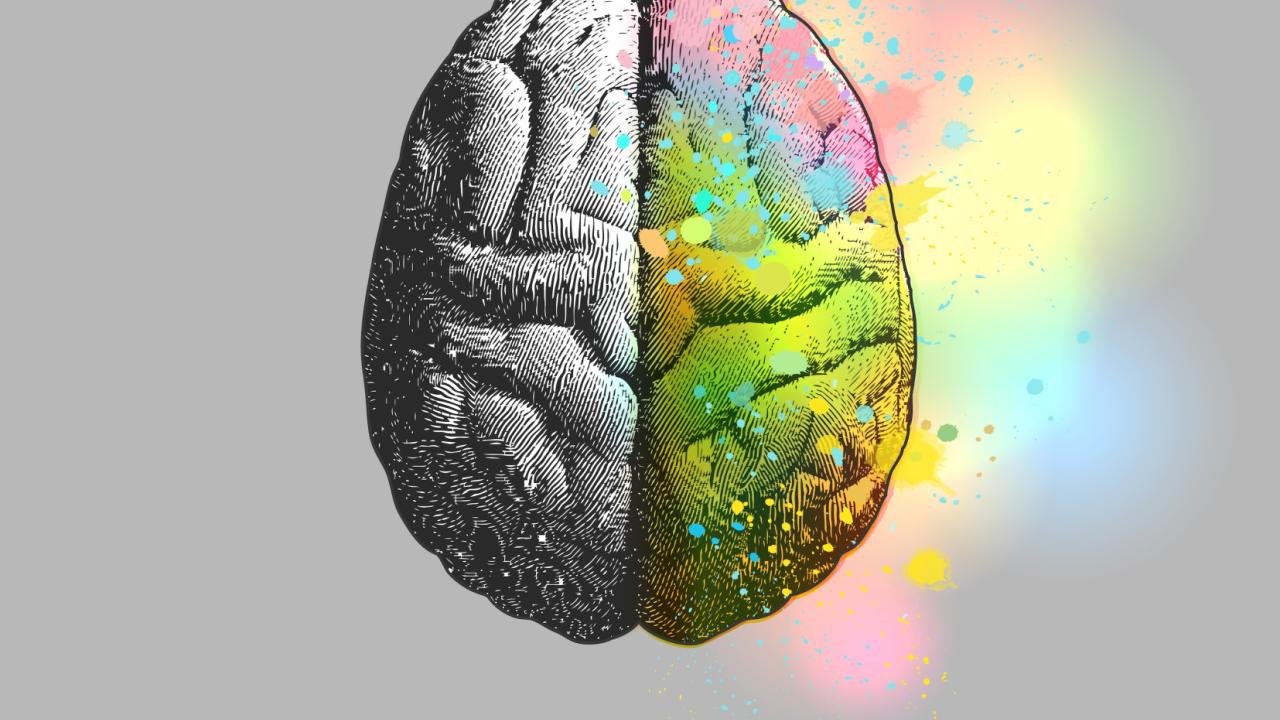 The theory suggests that psychedelic drugs reverse the hierarchical relationship between the two hemispheres of the brain, releasing the right hemisphere from inhibition by the left