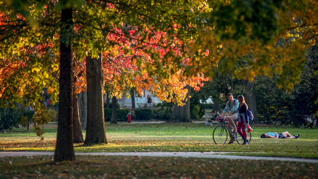 Several students enjoying the Oval during fall time